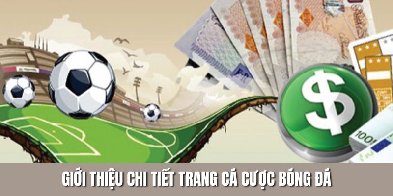 Giới thiệu chi tiết trang cá cược bóng đá