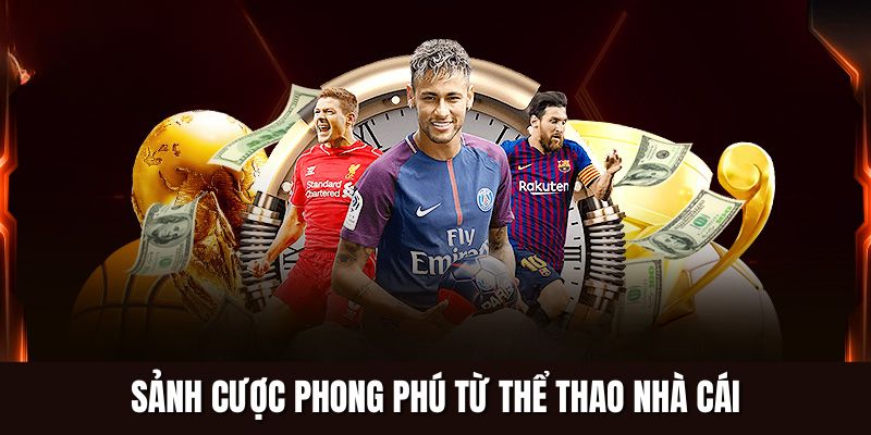 Sảnh cược phong phú từ thể thao nhà cái